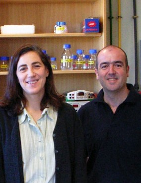 Grupo Regulación de la estructura y de la función de los telómeros en A. thaliana