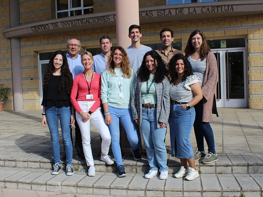 Grupo Señalización Redox en plantas