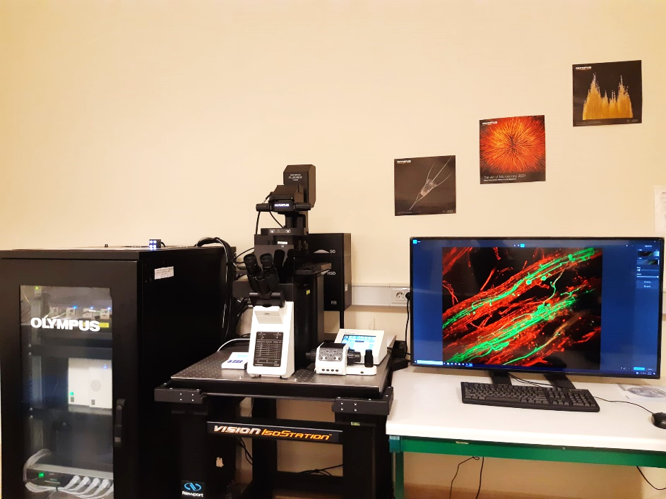 Microscopía Óptica Avanzada Microscopía Óptica Avanzada