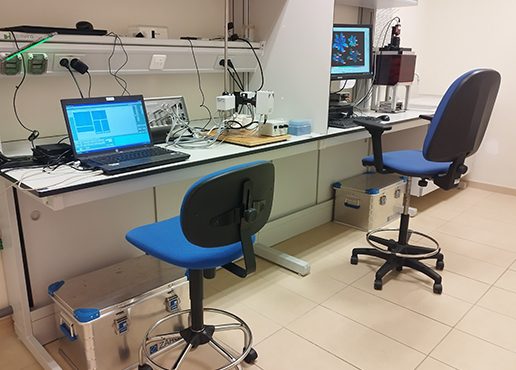 Servicio de Análisis de Fotosíntesis