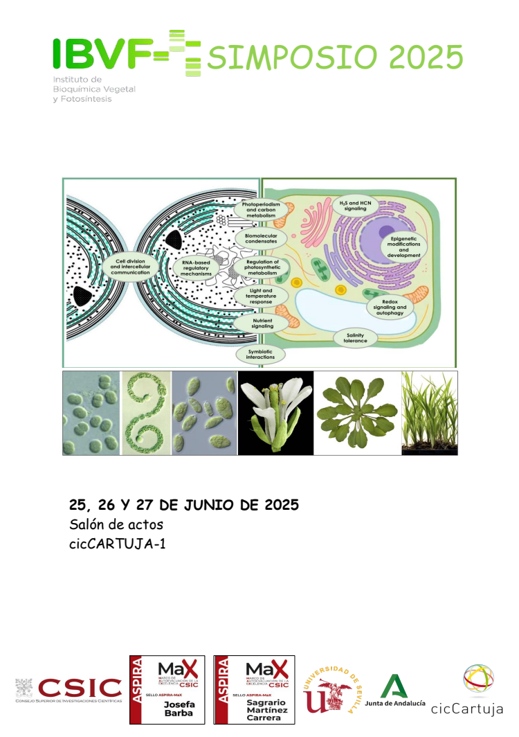 Simposio IBVF 2023