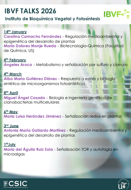 IBVF CONFERENCE SERIES 2024