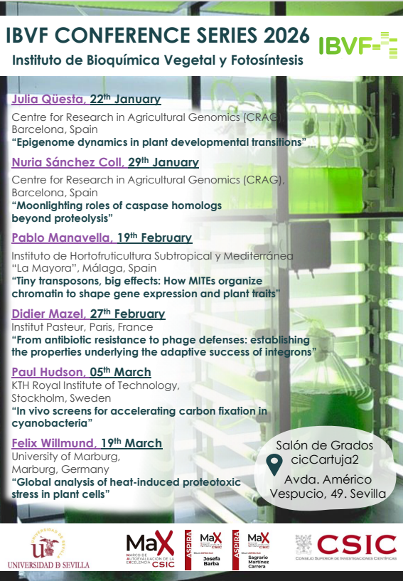 IBVF CONFERENCE SERIES 2024