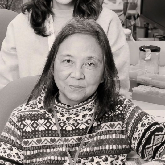 Imelda Mendoza Baisas